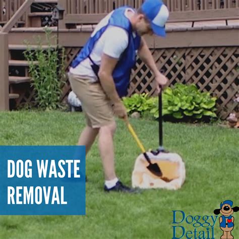 dog waste removal san anselmo